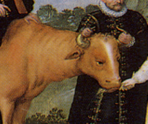 vache