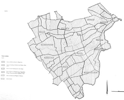 HSTerrier2Illustration